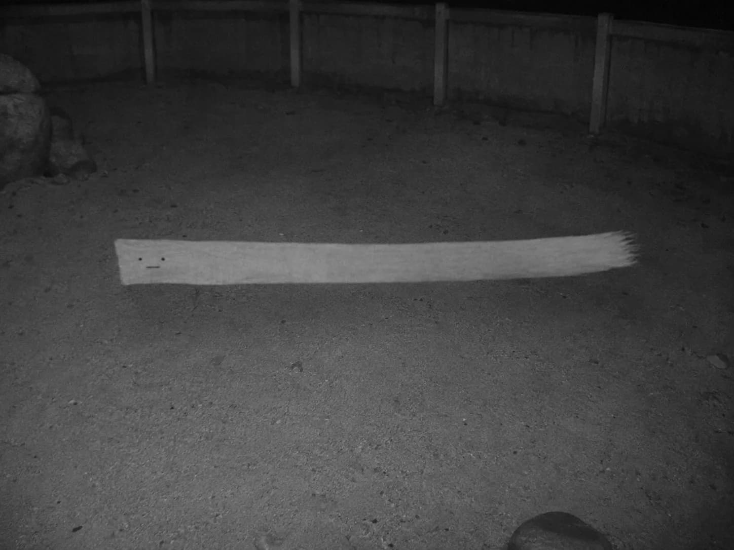 CAM-02夜行性観察棟の赤外線カメラに記録されたシロ